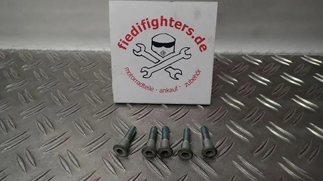 Bremsscheiben Schrauben hinten Suzuki GSF 1200 S GV75A Bandit EZ.01 15714km