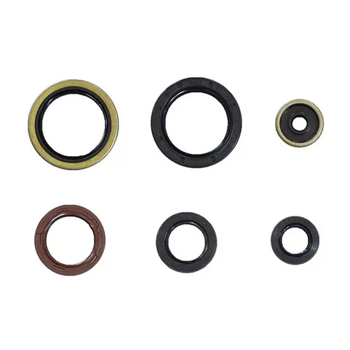 Motoröldichtringsatz - Ktm Sx 125 2016-2019 - Ktm Sx 150 2016-2019 - Ktm Xc-w 125 2017-2019
