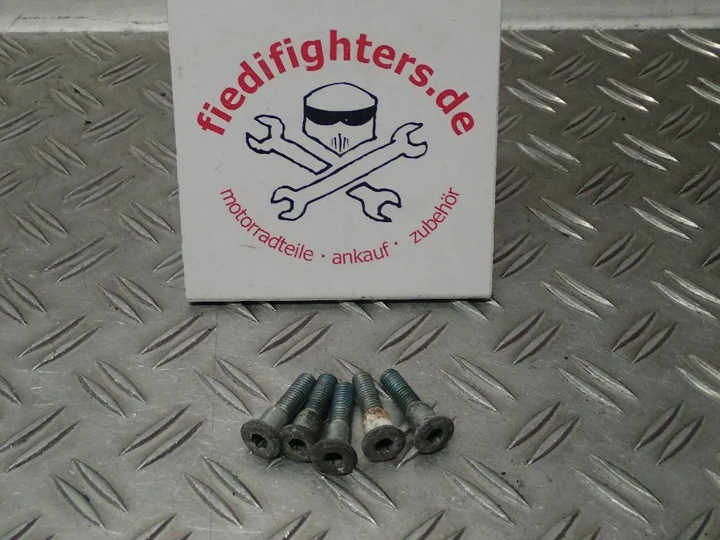 Bremsscheibe Schrauben hinten Suzuki Bandit 1200 GV75A Kult 54152km