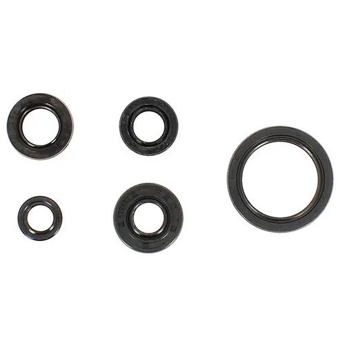 Motoröldichtungen Serie - Yamaha Yzf 250 2019