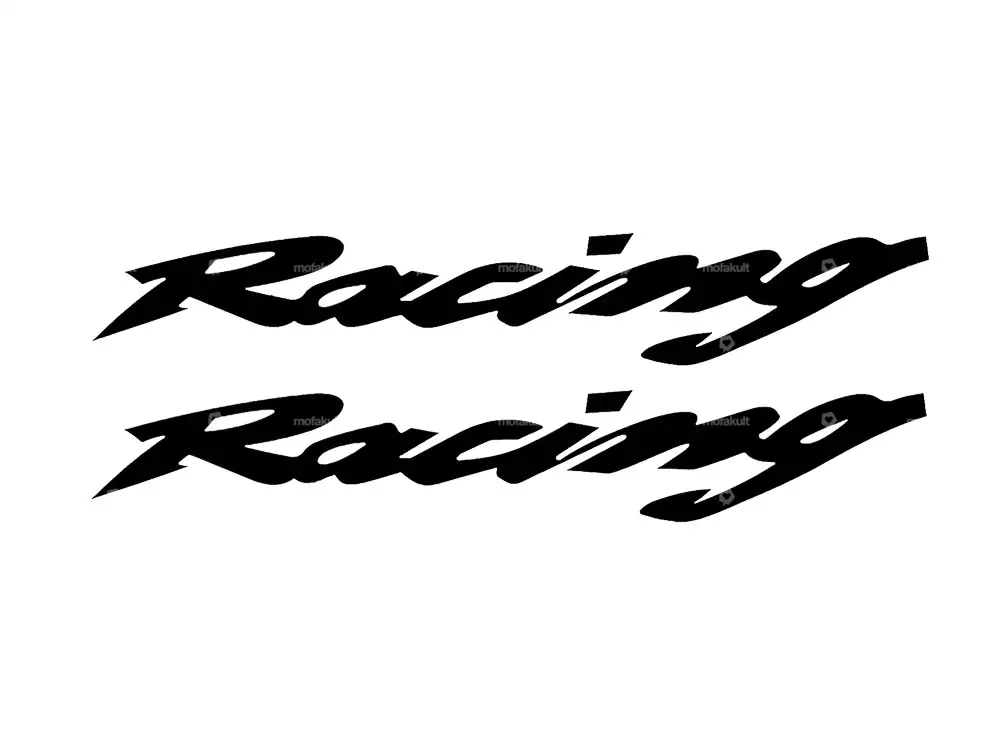 Paar Racing Kleber schwarz