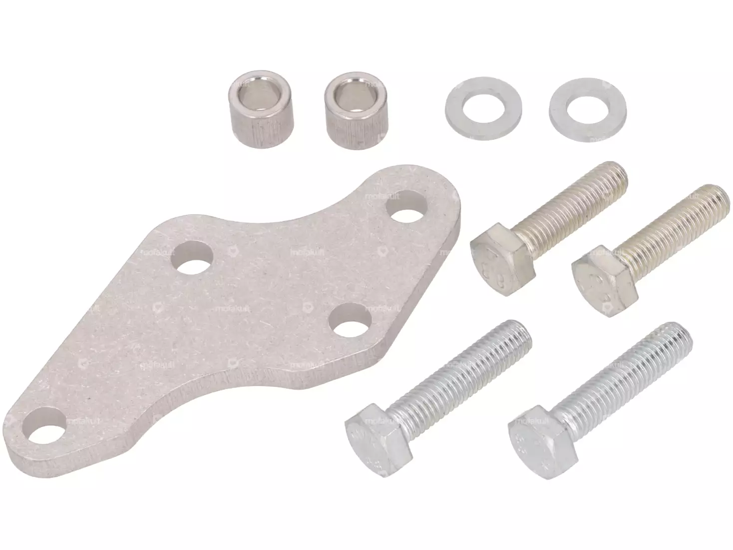 Aufnahmeplatte Scheibenbremse EBR Gabel