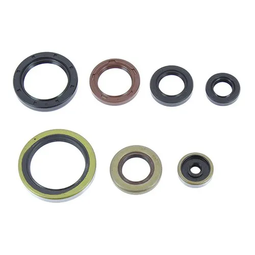 Motoröldichtungen Serie - Husqvarna Tc 250 2017-2019 - Husqvarna Te 250 2017-2019 - Husqvarna Te 300 2017-2019