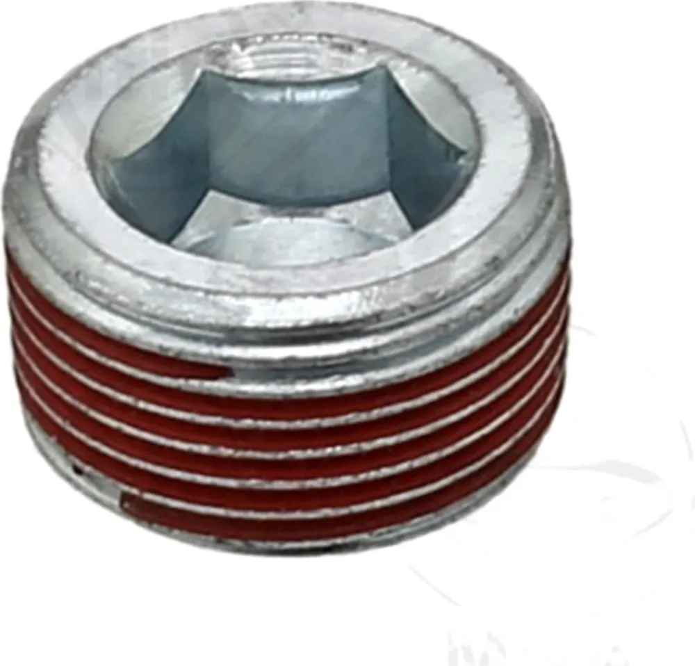 Ölablassschraube ID 587100