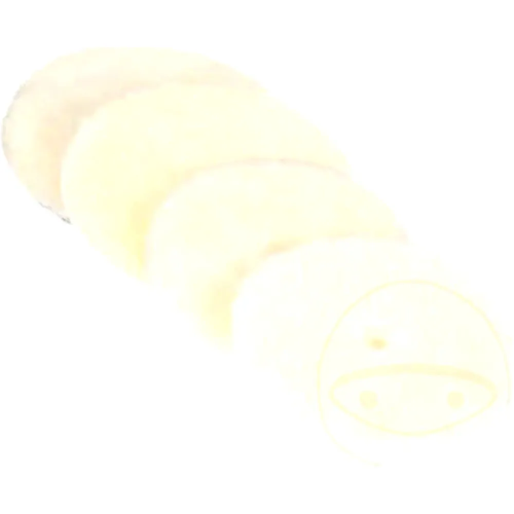 Polierpad 130 mm 2 Stück mit Polierfell grob weiß