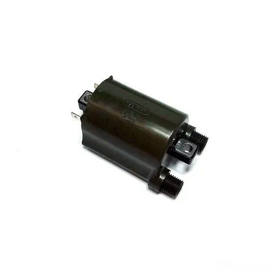 Zündspule 12V Tourmax IGN-117-119018164