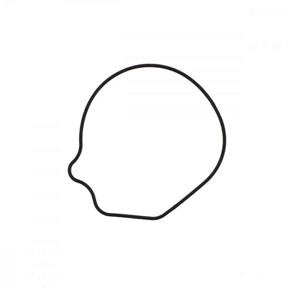 Dichtung Wasserpumpe Tourmax, WPG-107-119043763