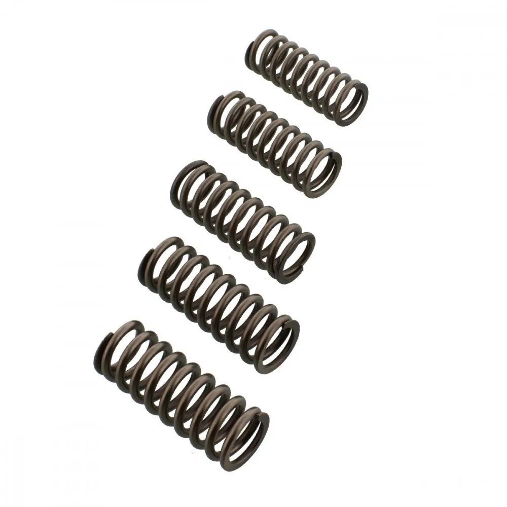 Kupplungsfedern verstärkt EBC CSK214-119019235