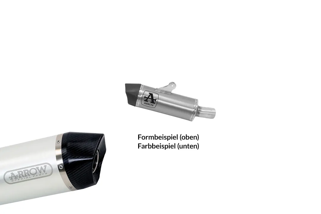 ARROW Auspuff MAXI RACE TECH für BMW R1250R / R1250RS 2019-, Aluminium