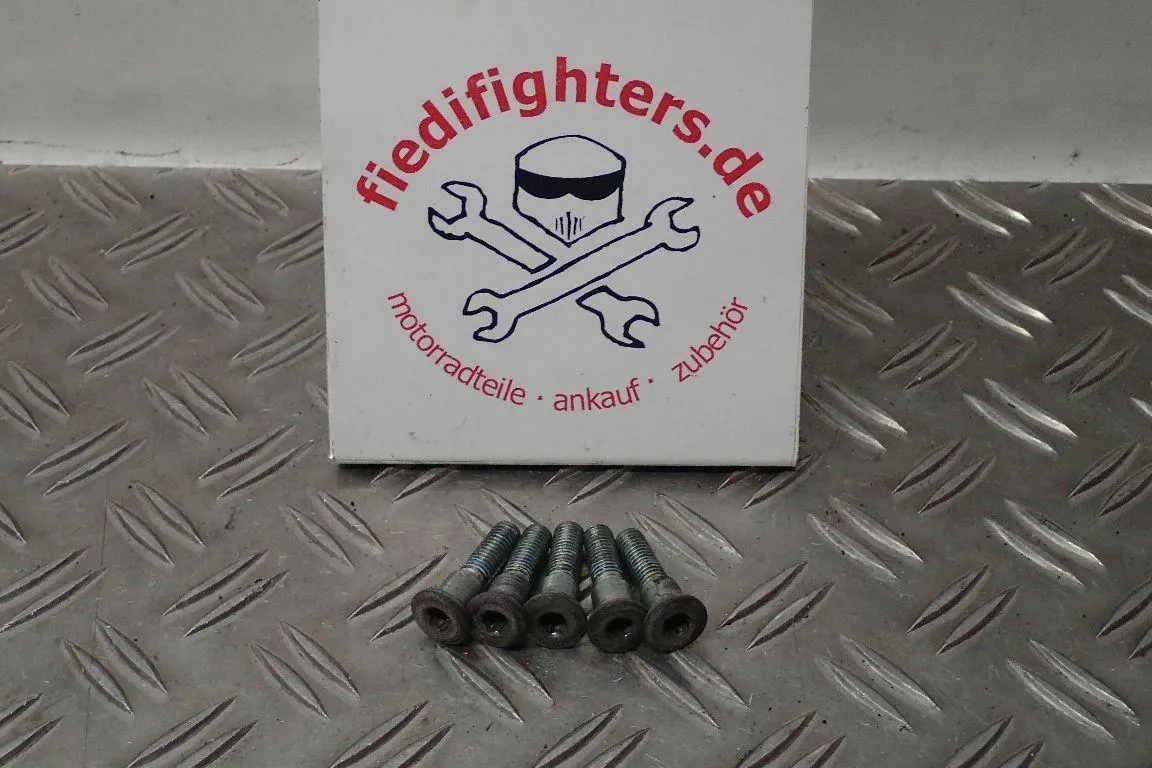 Bremsscheibe Schrauben hinten Suzuki Bandit 1200 GV75A Kult 56624km