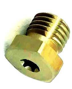VENT SCREW WP AER FORK / AIR SIDE48601495