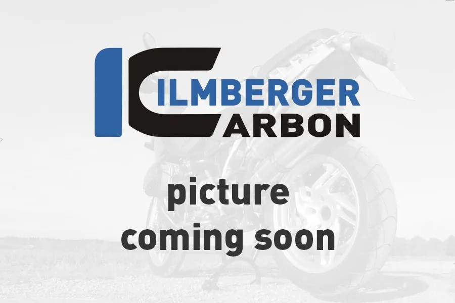 Ilmberger Carbon Abdeckung ESA Box