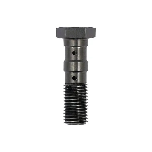 TRW Doppelhohlschraube